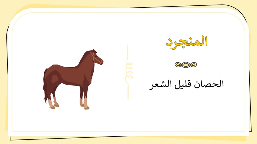 ملزمة الدراسات الادبية ثالث ثانوي مسارات