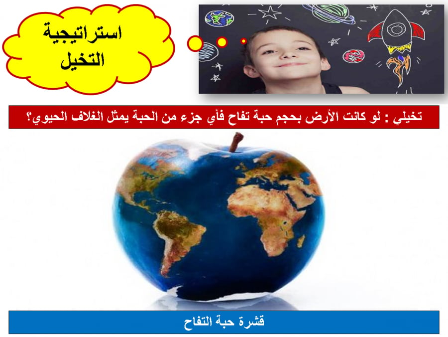 ورقة عمل علم البيئة اول ثانوي