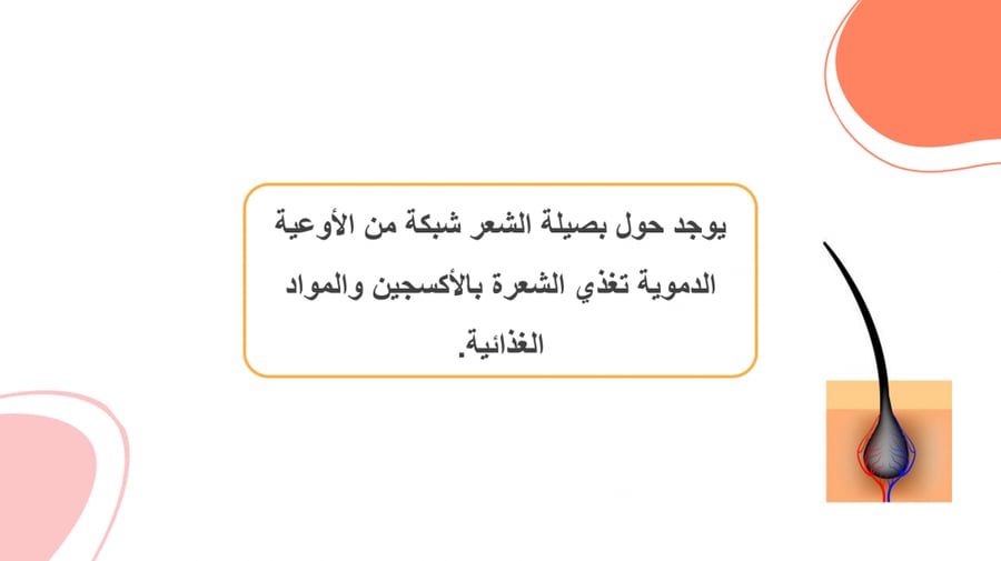 كتاب المهارات الحياتيه للصف السادس الفصل الدراسي الاول