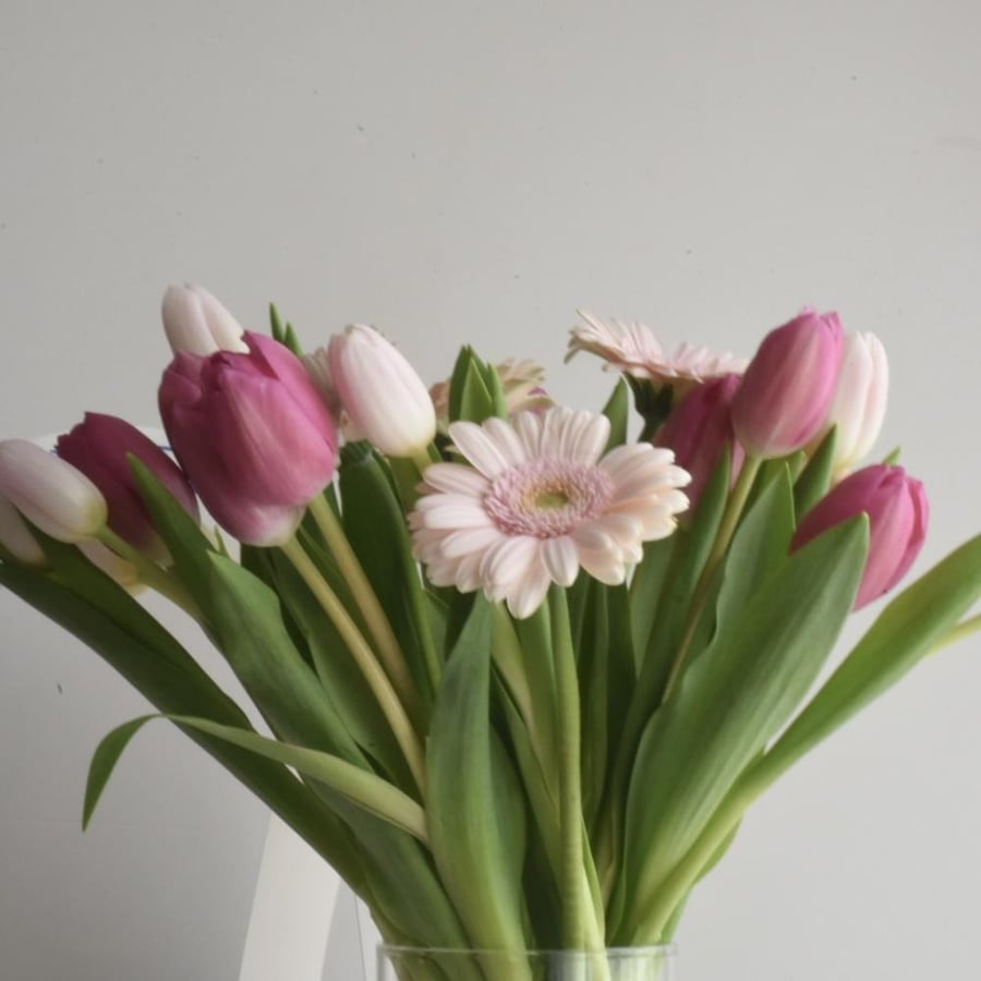 Tulip vase and gerbera