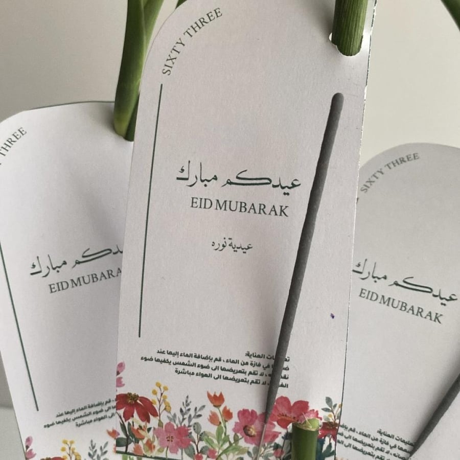 توزيعات 2