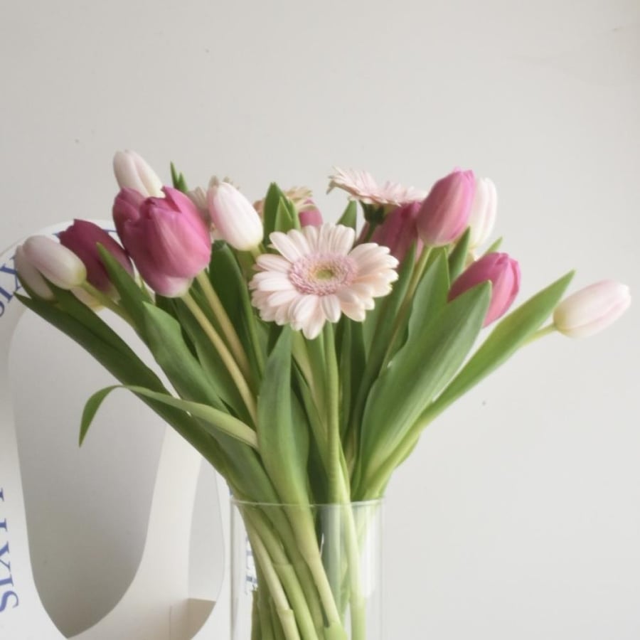Tulip vase and gerbera