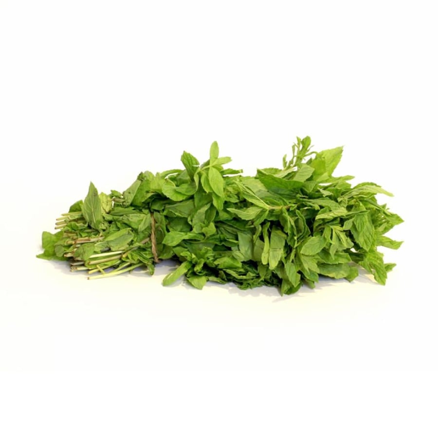 نعناع القصيم