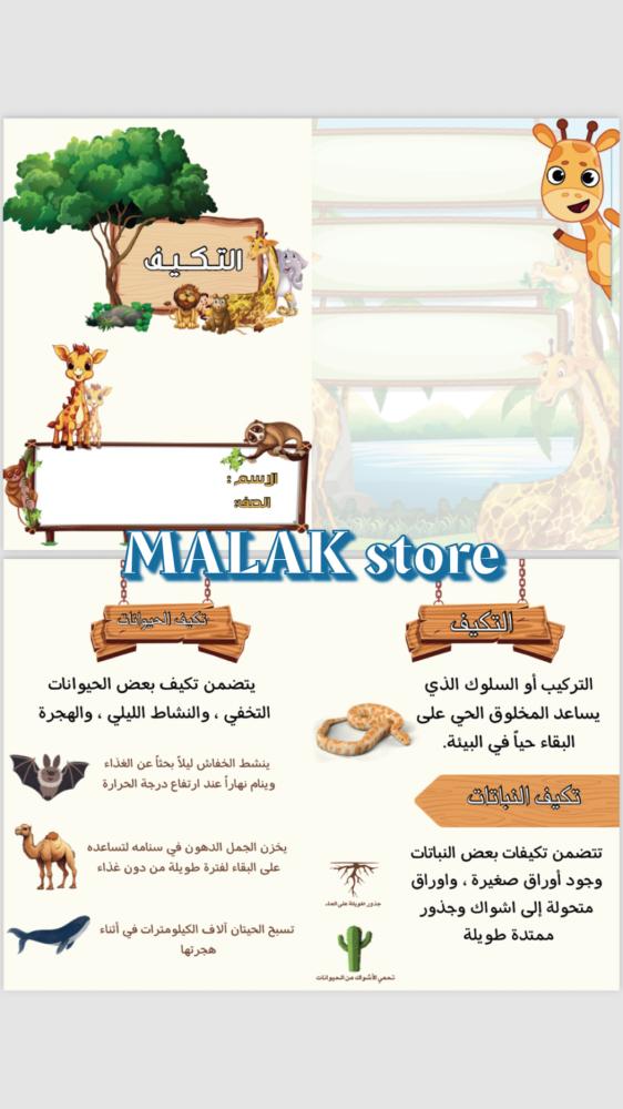 مطوية العلوم الصف الثالث الابتدائي ( التكيف ) الفصل الدراسي الاول ١٤٤٦هـ