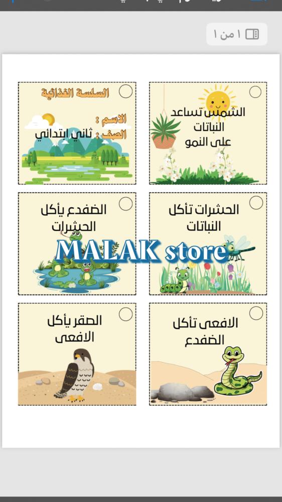 مطوية علوم الصف الثاني الابتدائي ( السلسلة الغذائية)