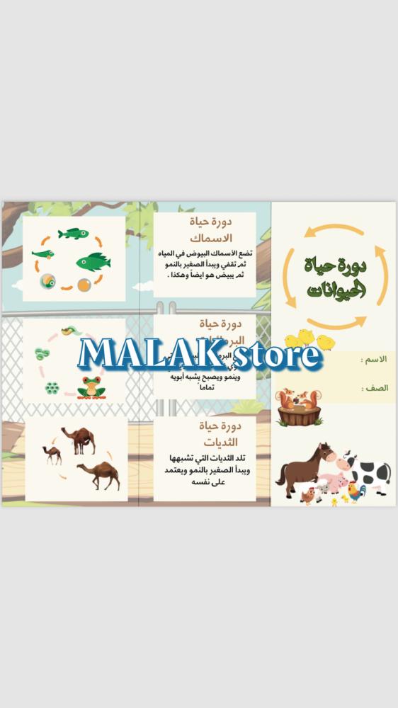 مطوية العلوم دورة حياة الحيوانات ( ثالث ابتدائي) الفصل الدراسي الأول