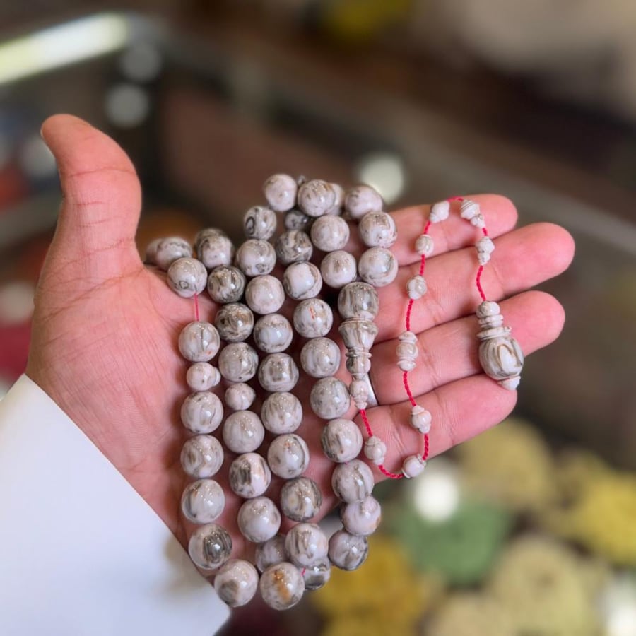 فاتوران ضبعه Z603
