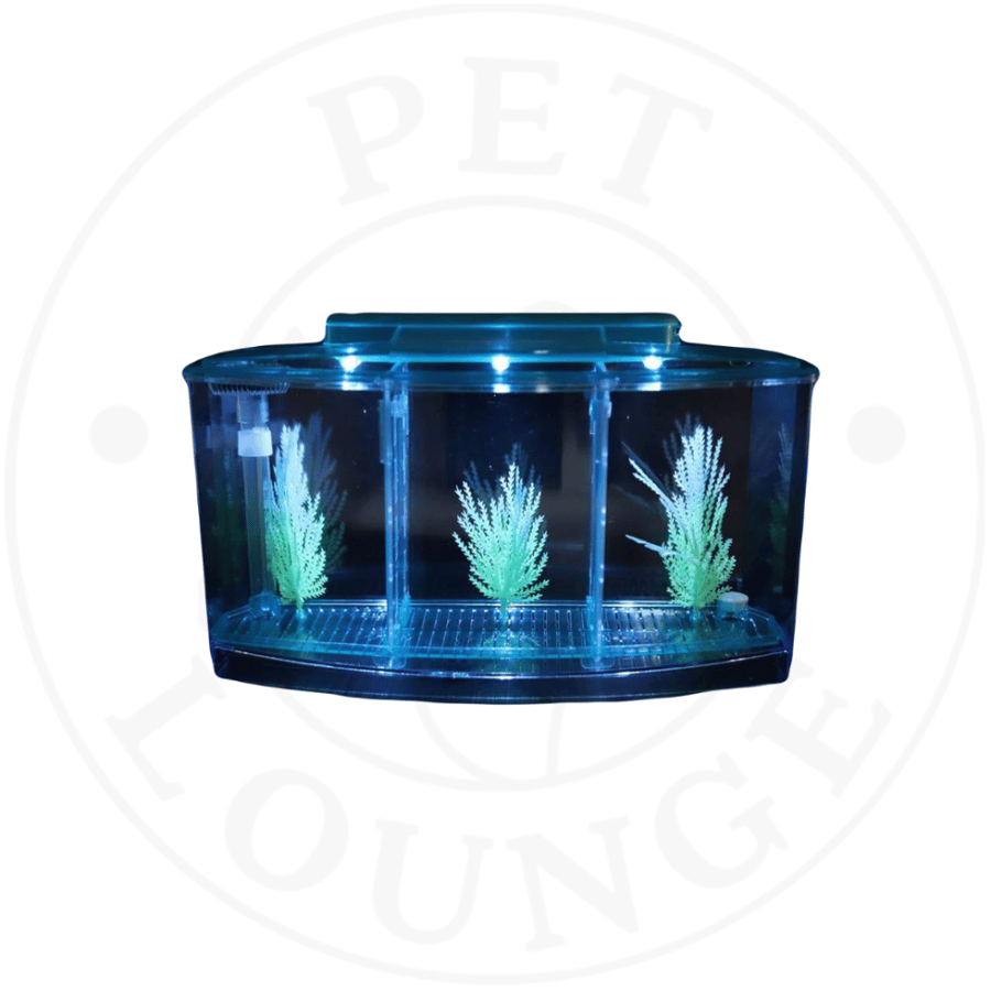 حوض سمك حضانة ثلاثي فاصل مع اضاءة