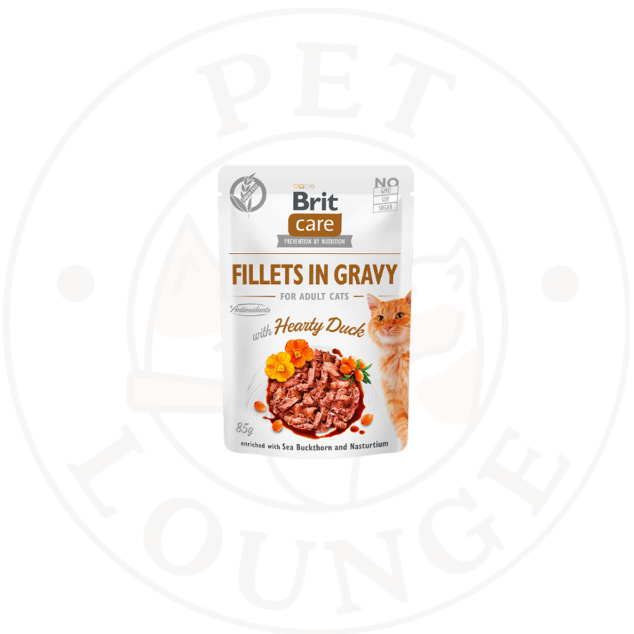 24-طعام رطب ظرف للقطط بالبط - 85g Brit