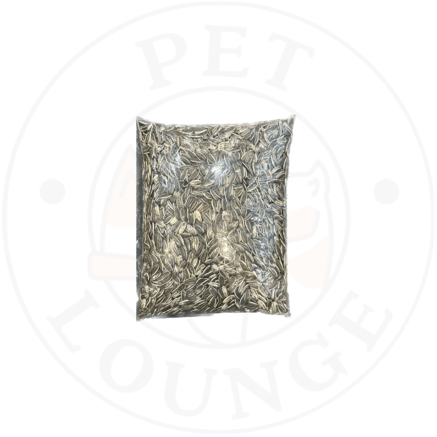 طعام يومي لطيور الببغاء حب شمسي كبير - 1kg Pet Lounge