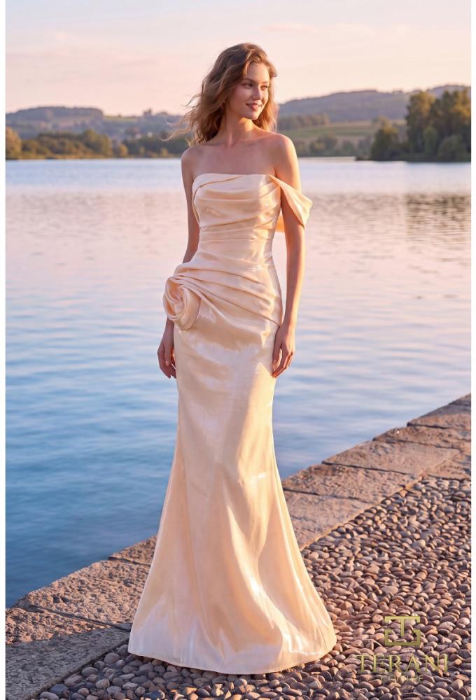 terani couture 252E5162