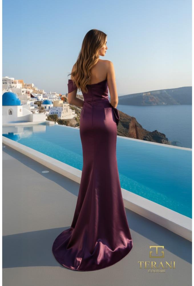 terani couture 252E5162
