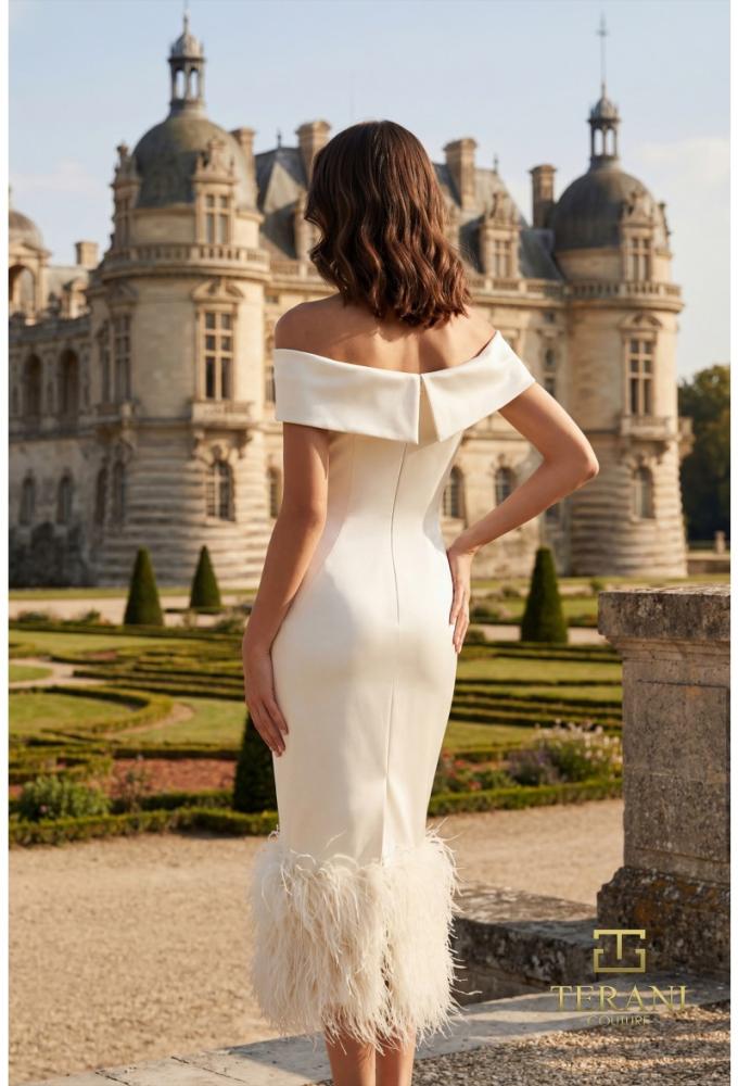 Terani couture 252C5033
