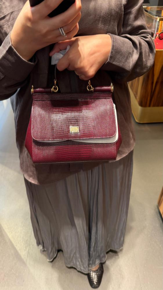 Dolce & Gabbana bag Eguana / Small size