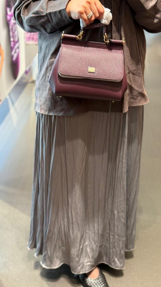 Dolce & Gabbana bag Eguana / Small size