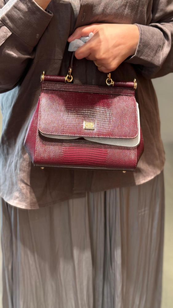 Dolce & Gabbana bag Eguana / Small size