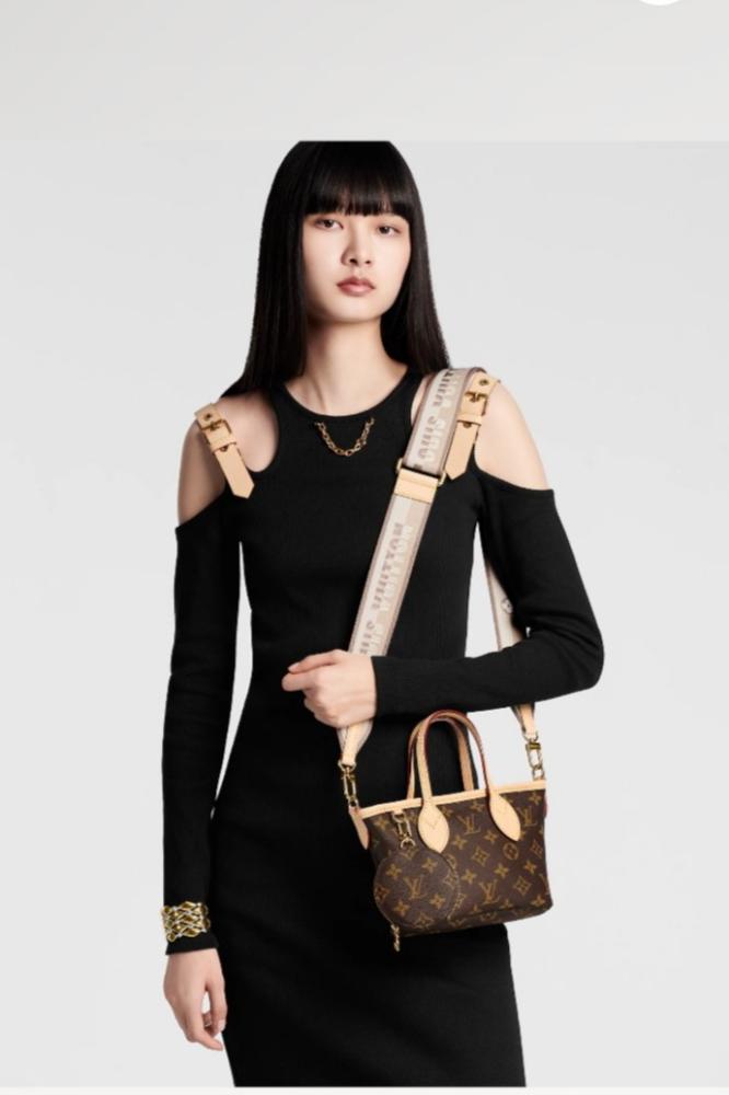 Louis Vuitton Neverfull BB bag