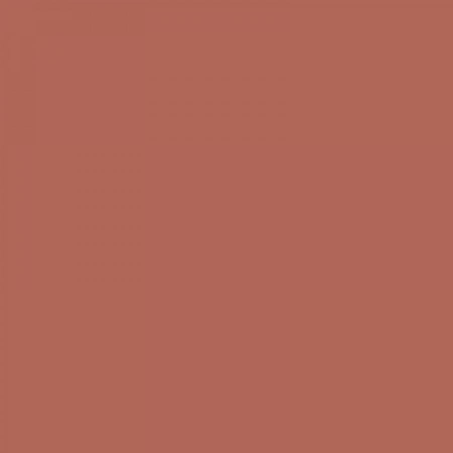 Polvere Rouge Matte Lipstick (223)