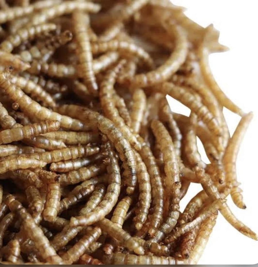دود مجفف من شركة تابيت 100g