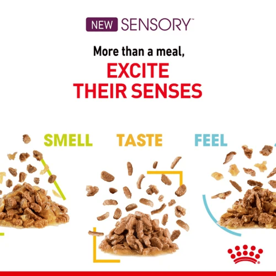 رويال كانين سنسوري smell