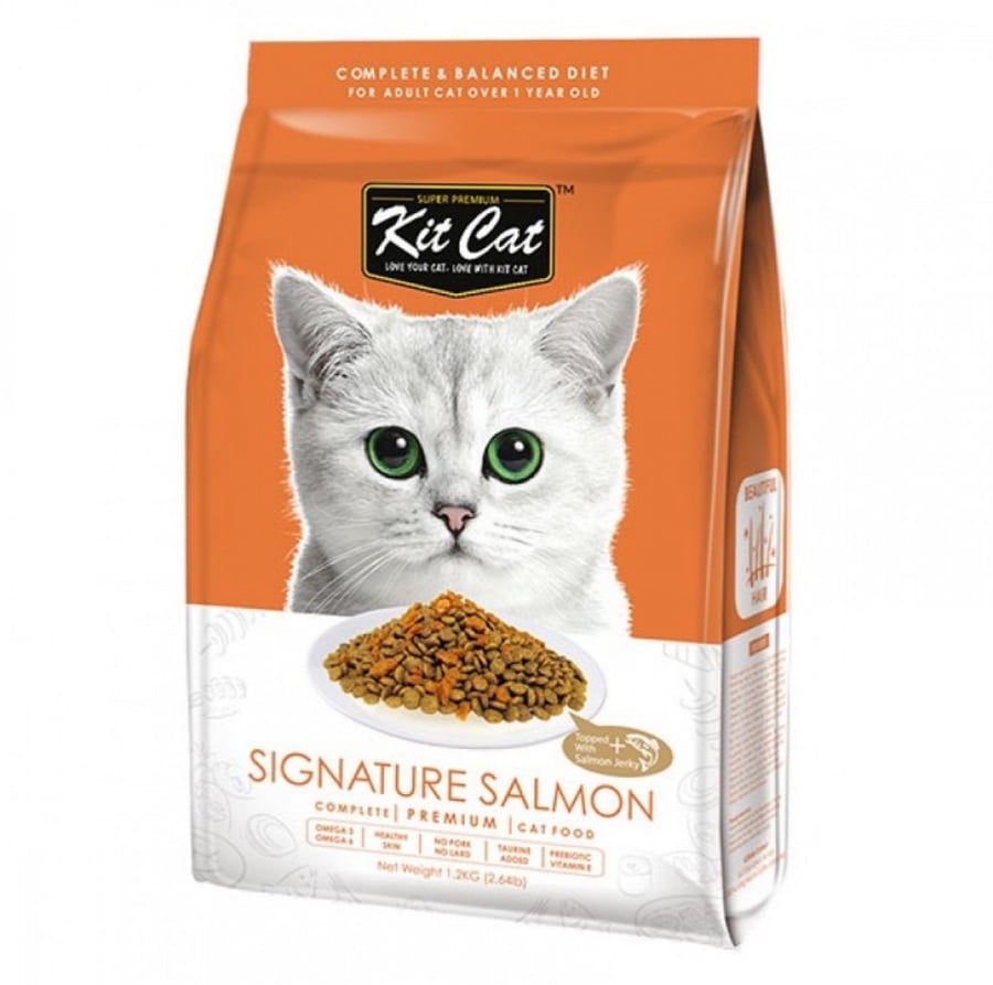 Kit cat كت كات طعام جاف للقطط بالسلمون للعناية بالشعر 1.2 كيلو جرام