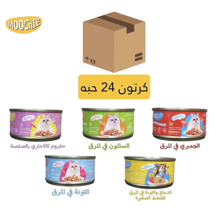 موتشي معلب طعام رطب كرتون24حبة منوع