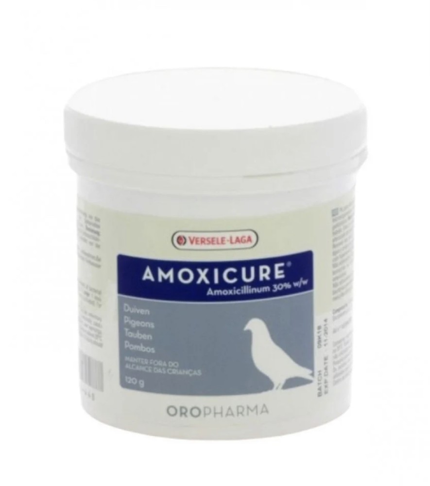 اموكسي كيور - Amoxicure