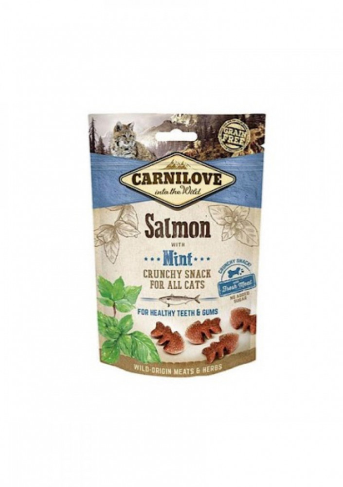 Salmon rewards with mint for dental and gum health from Carnilove company