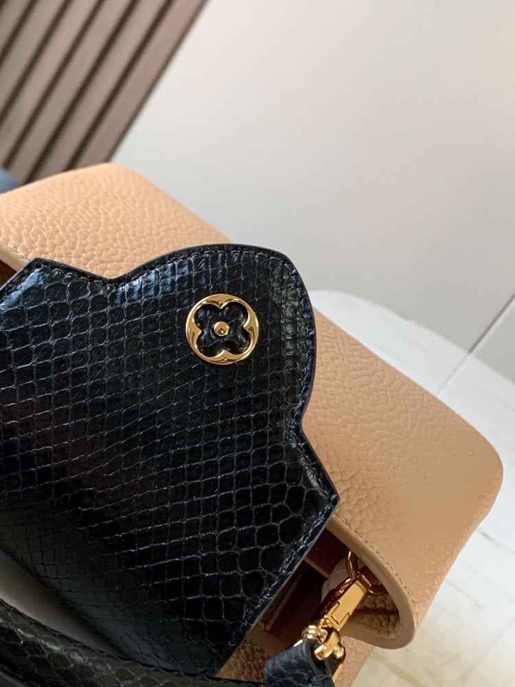 لوي فيتون كابسين ميني 21cm