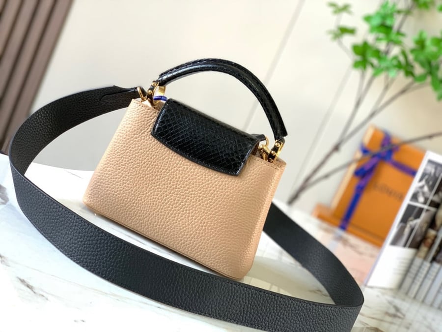 لوي فيتون كابسين ميني 21cm