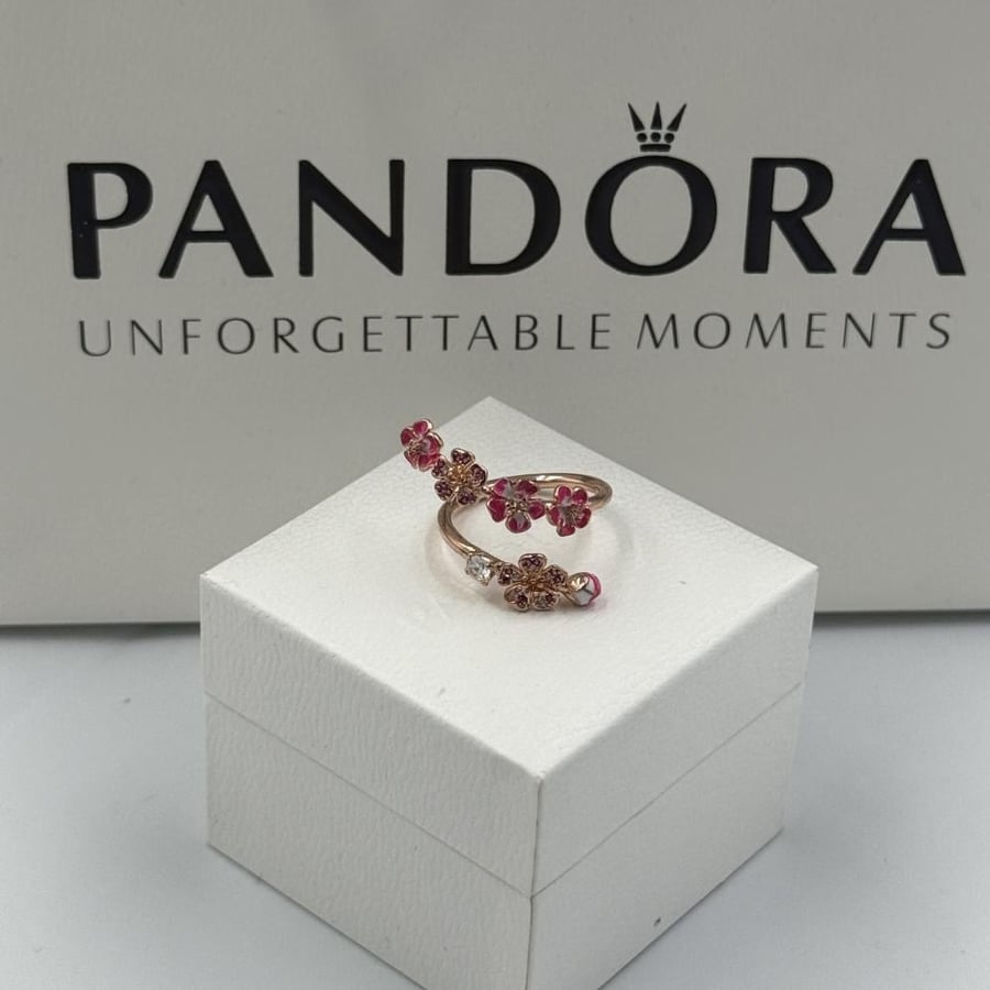 Pandora ring with accessories