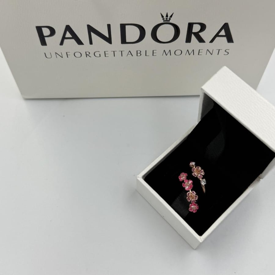 Pandora ring with accessories