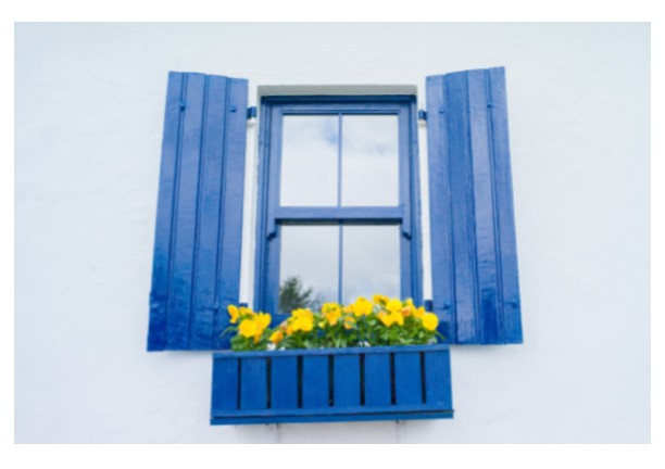 A window to ...