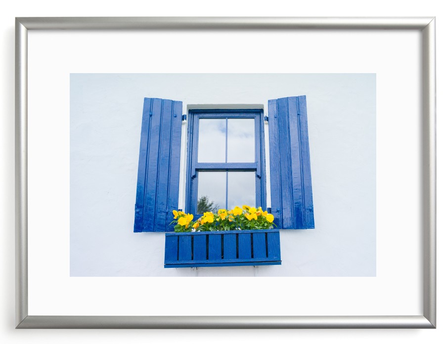A window to ...