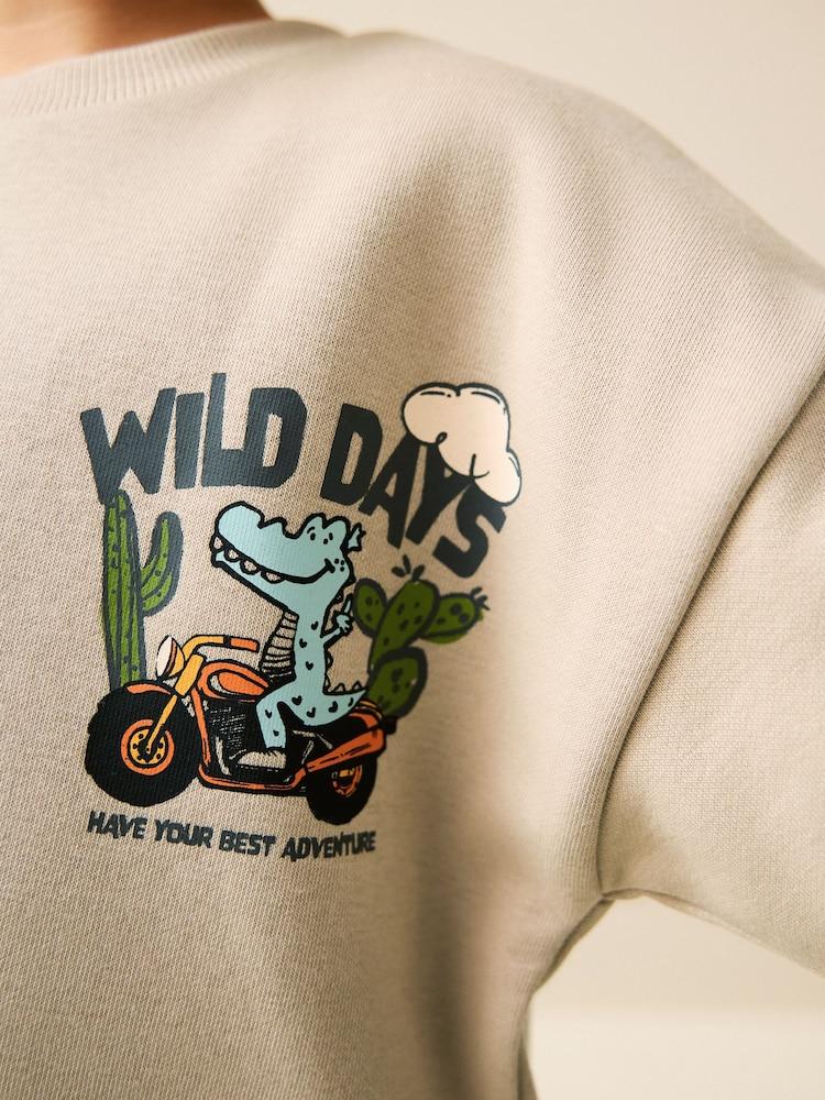 Next boy T-shirt