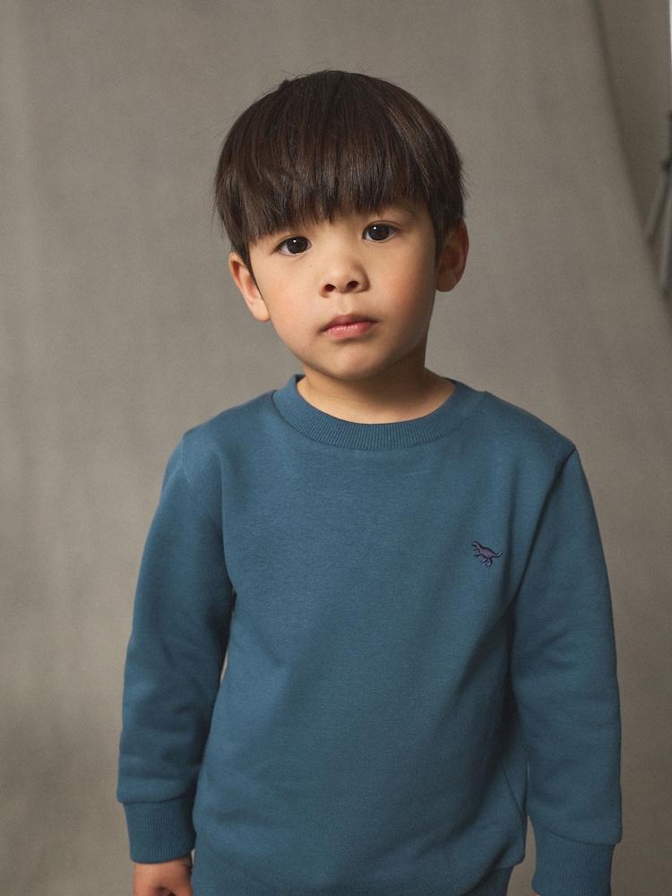 Next boy T-shirt