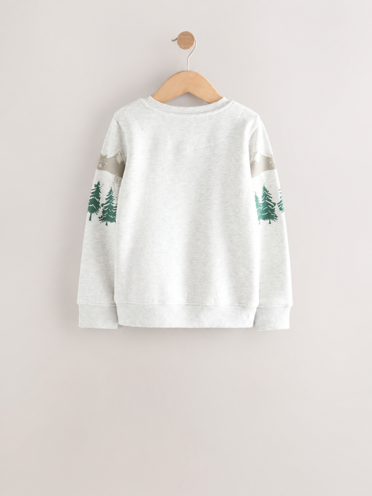 Next boy T-shirt