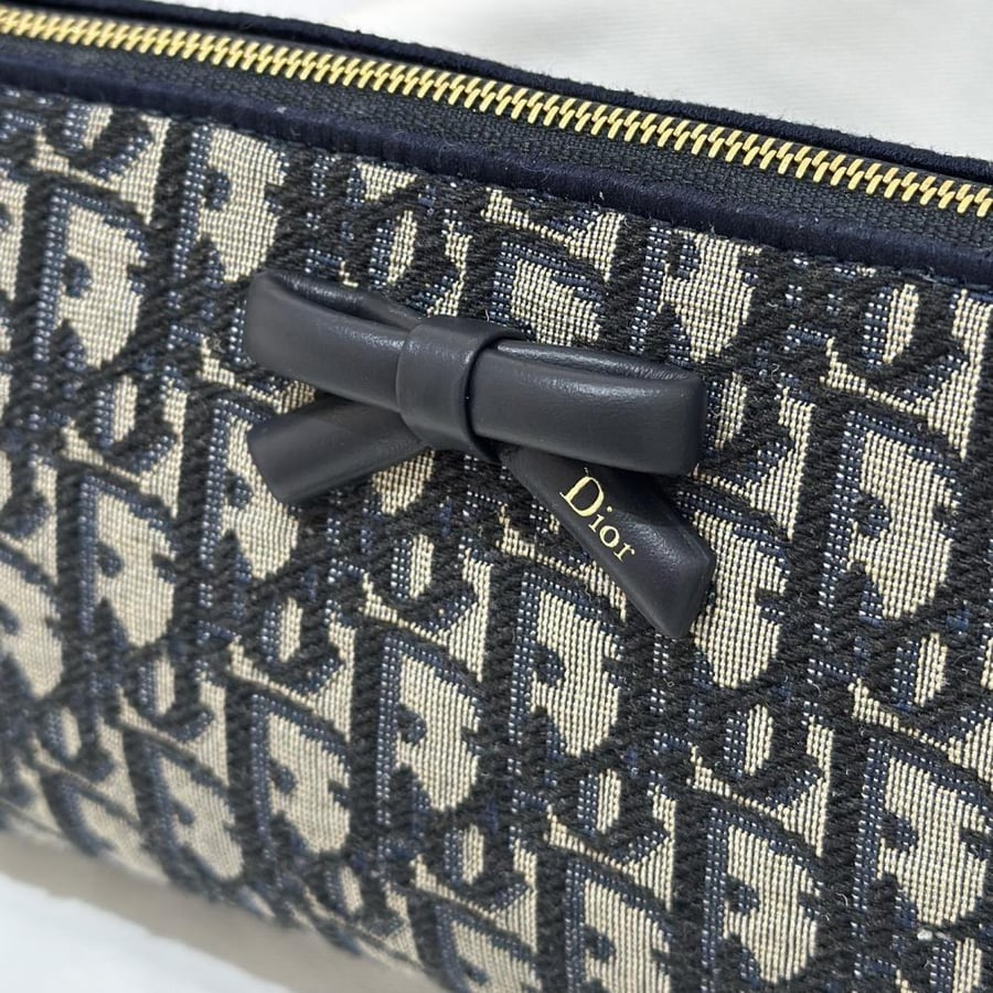 Promenade pouch with chain