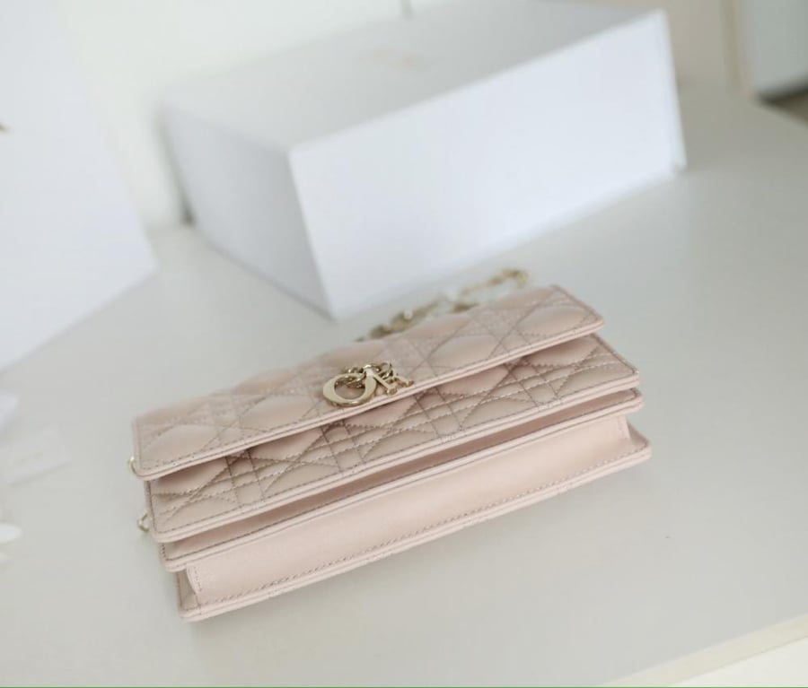 My dior mini