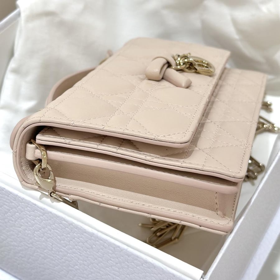 My dior mini