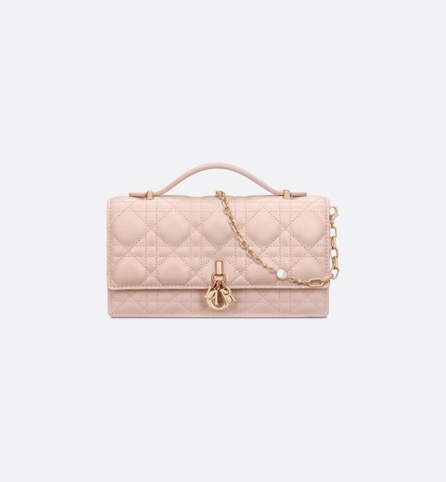 My dior mini