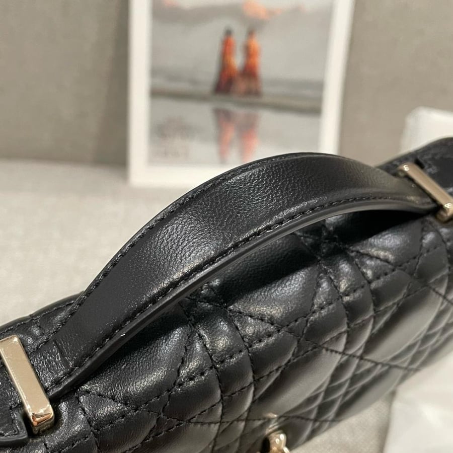 My dior mini