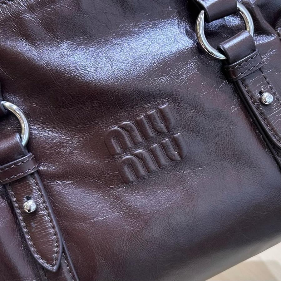 Shiny leather top handle
