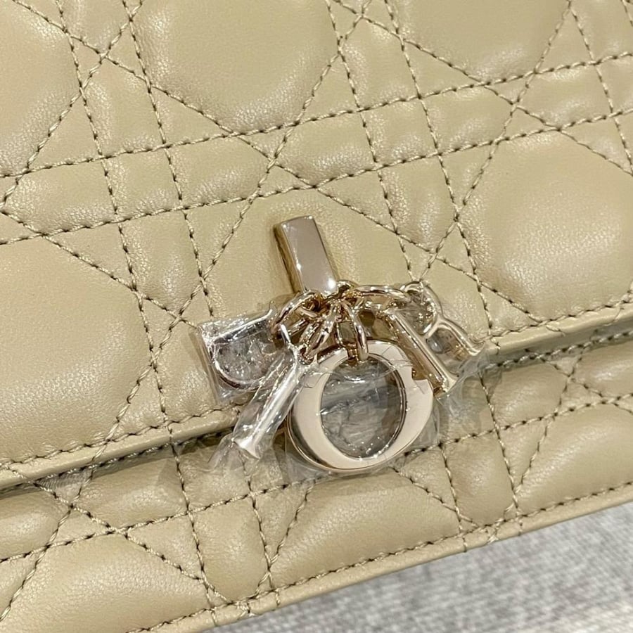 My dior mini