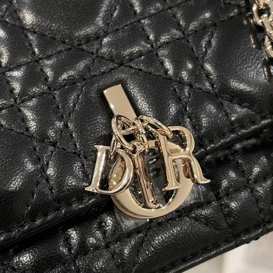 My dior mini