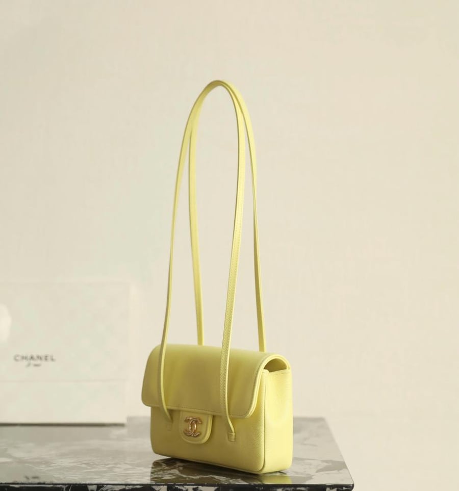 Chanel mini 26p