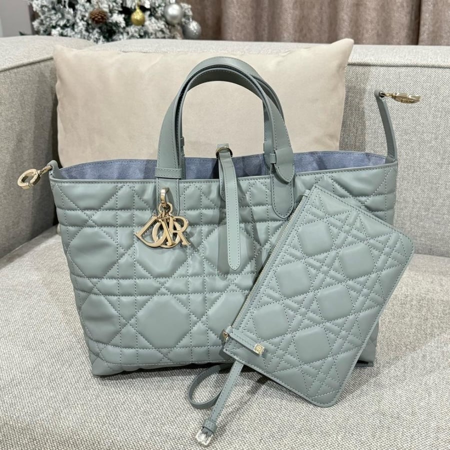 Medium Dior Toujours Bag