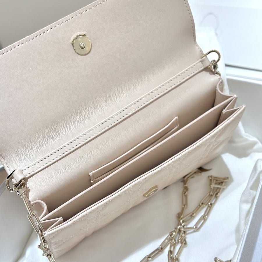 My dior mini