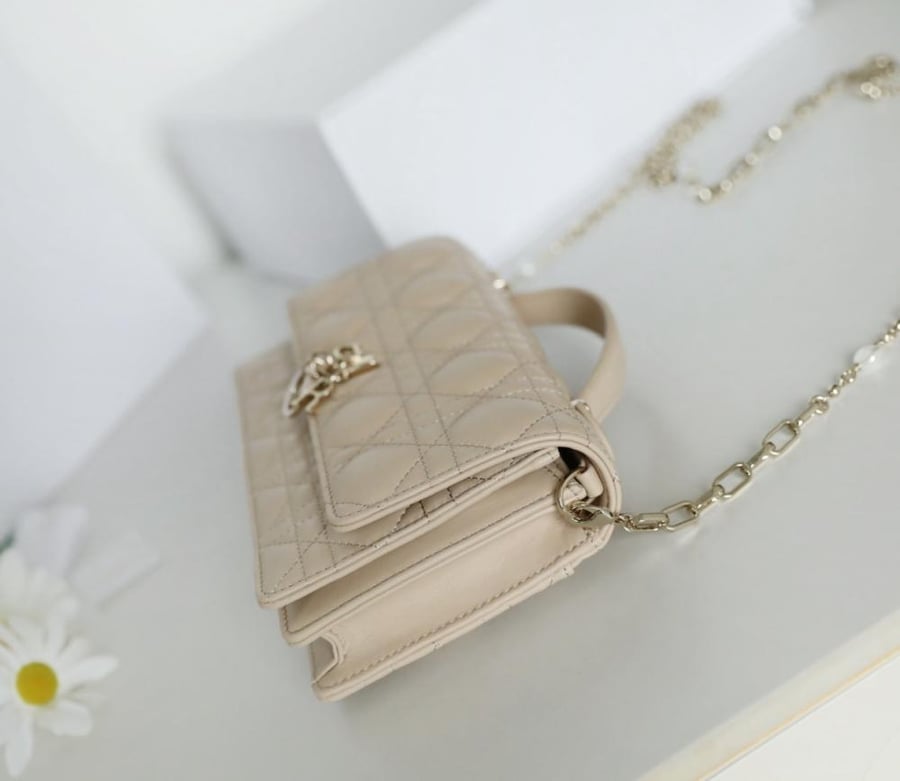 My dior mini