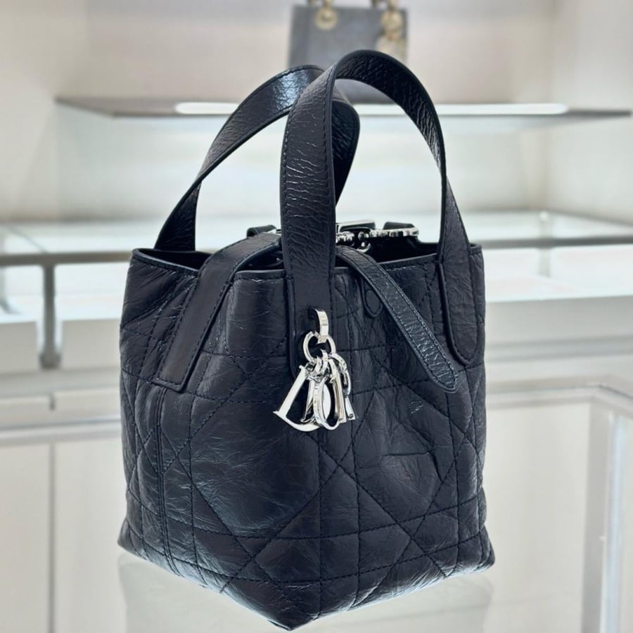 Dior toujours nano tote